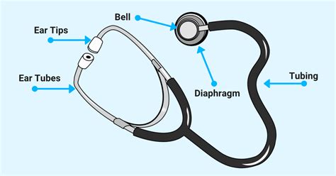 What is stethoscope class 7 3M Littmann Classic III: The Classic III is a medium-sized product, slightly smaller than the Classic II S